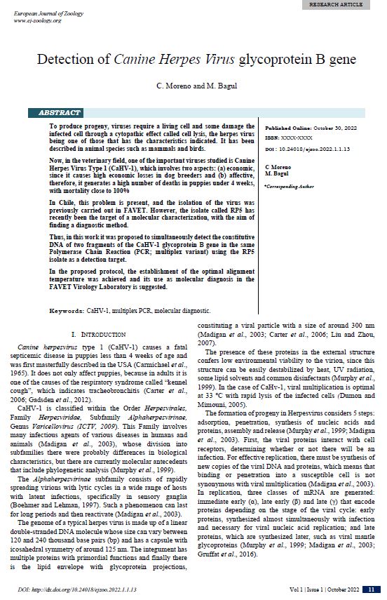 Can You Test For Canine Herpes